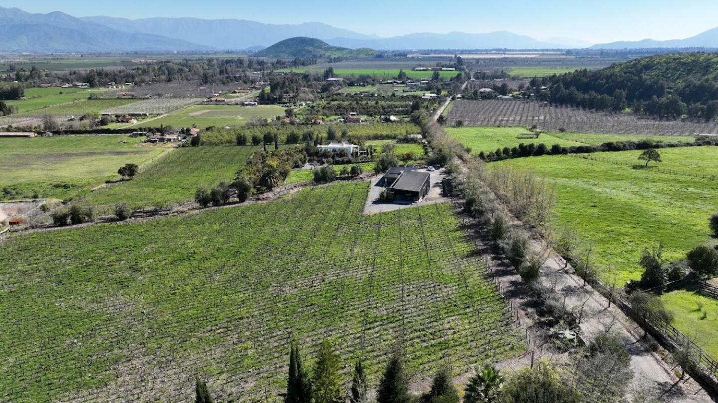 Vina Lof - Maipo Valley Bed & Breakfast In Winery Paine Exterior foto