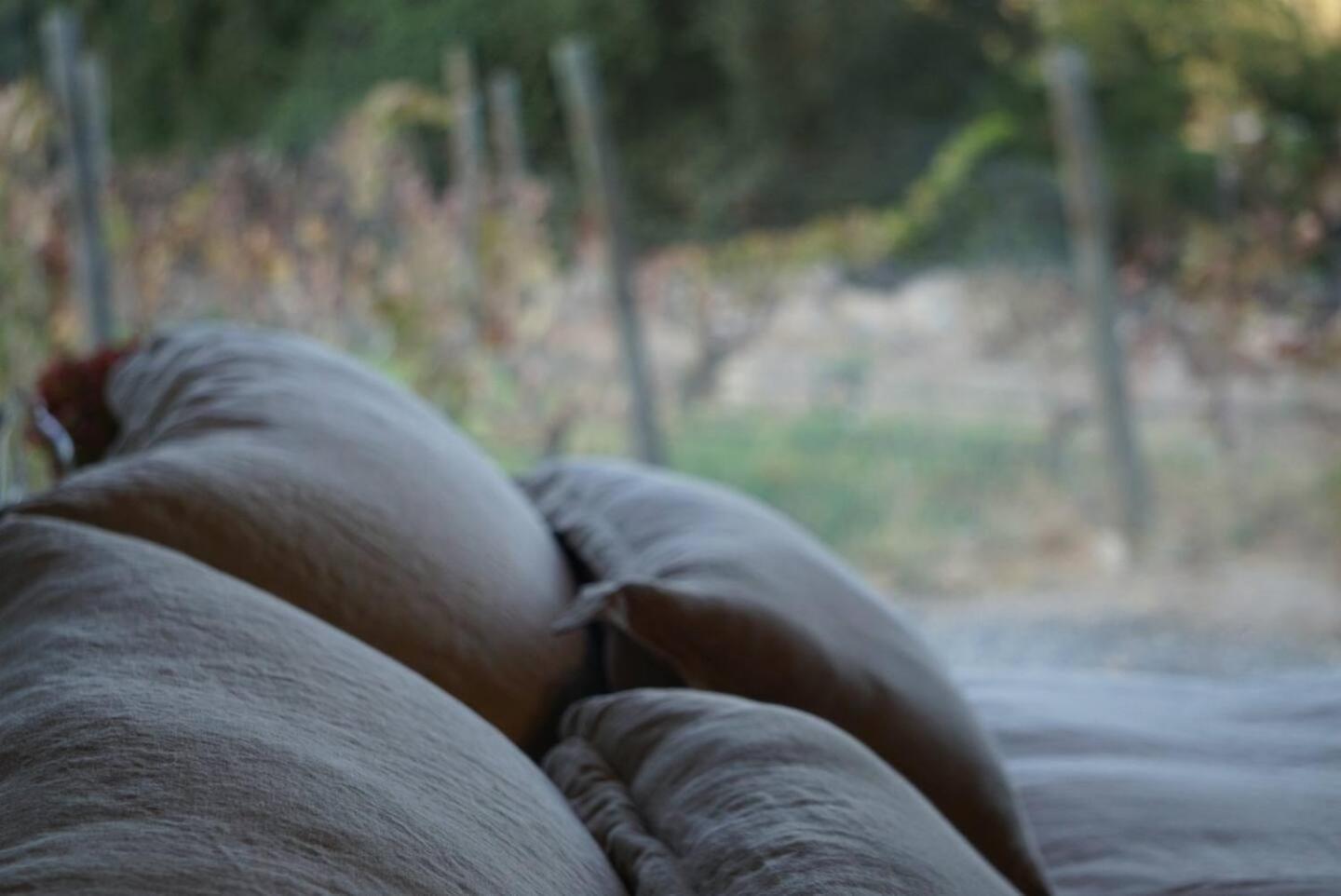 Vina Lof - Maipo Valley Bed & Breakfast In Winery Paine Exterior foto