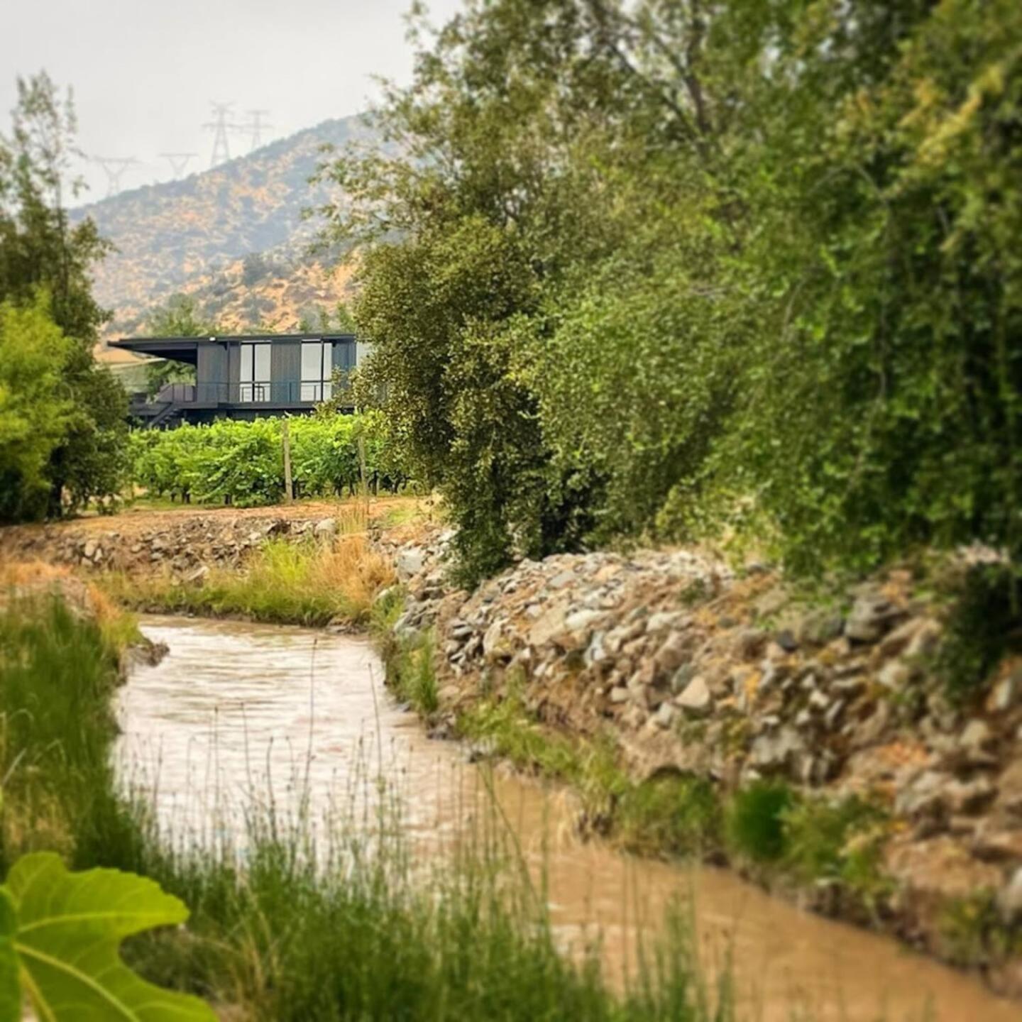 Vina Lof - Maipo Valley Bed & Breakfast In Winery Paine Exterior foto