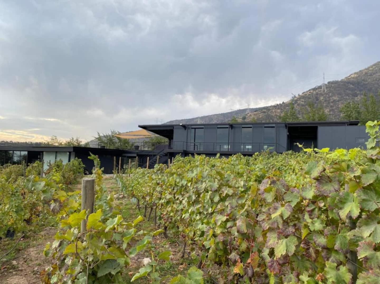 Vina Lof - Maipo Valley Bed & Breakfast In Winery Paine Exterior foto