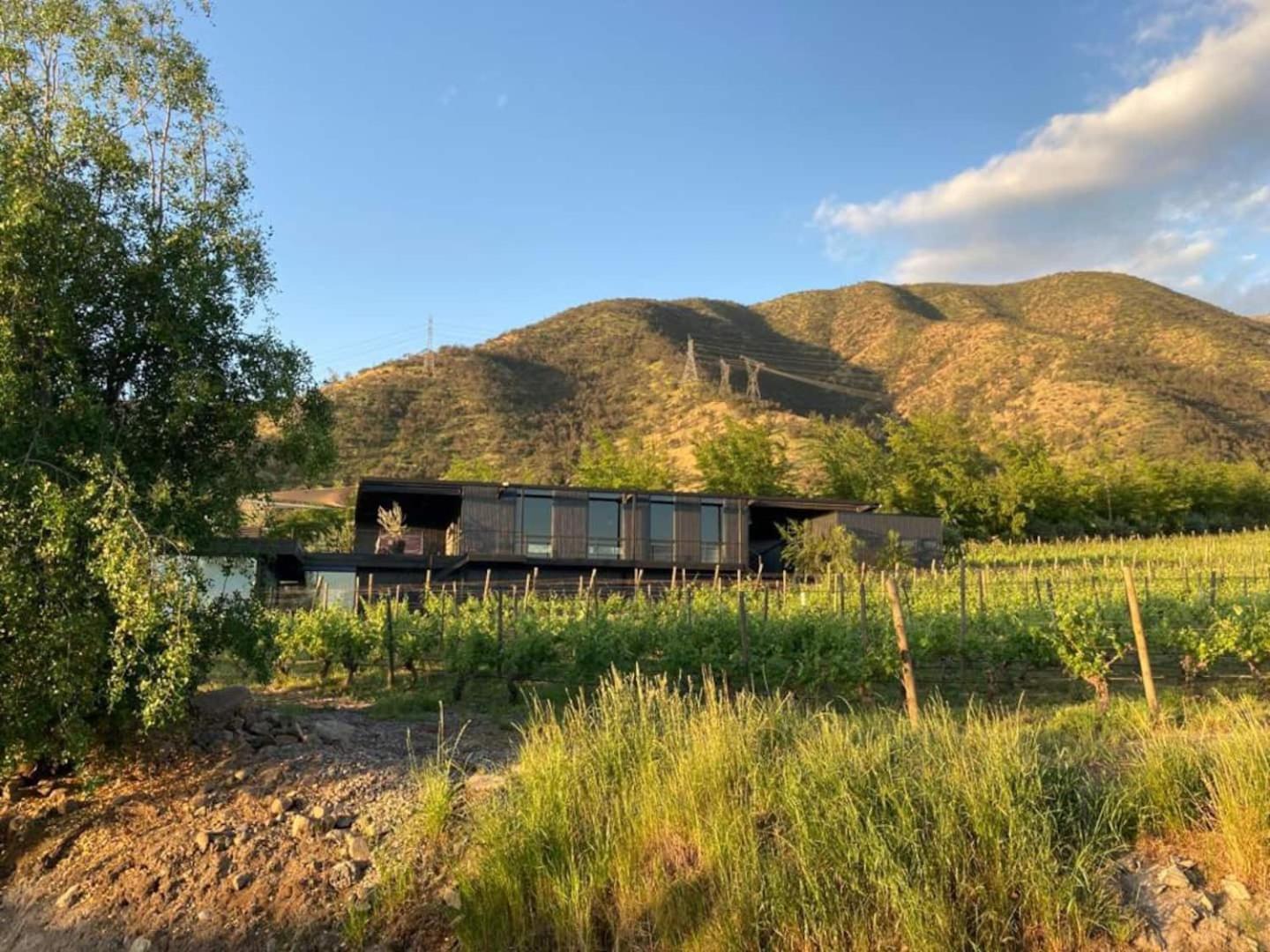 Vina Lof - Maipo Valley Bed & Breakfast In Winery Paine Exterior foto